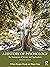A History of Psychology: The Emergence of Science and Applications