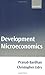 Development Microeconomics: 1st (First) Edition