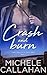 Crash and Burn: Volume 1 (Love You Like A Love Song) by Michele Callahan (2016-01-08)