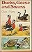 Ducks, geese and swans