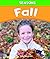 Fall (Seasons)