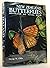 New Zealand butterflies: Id...