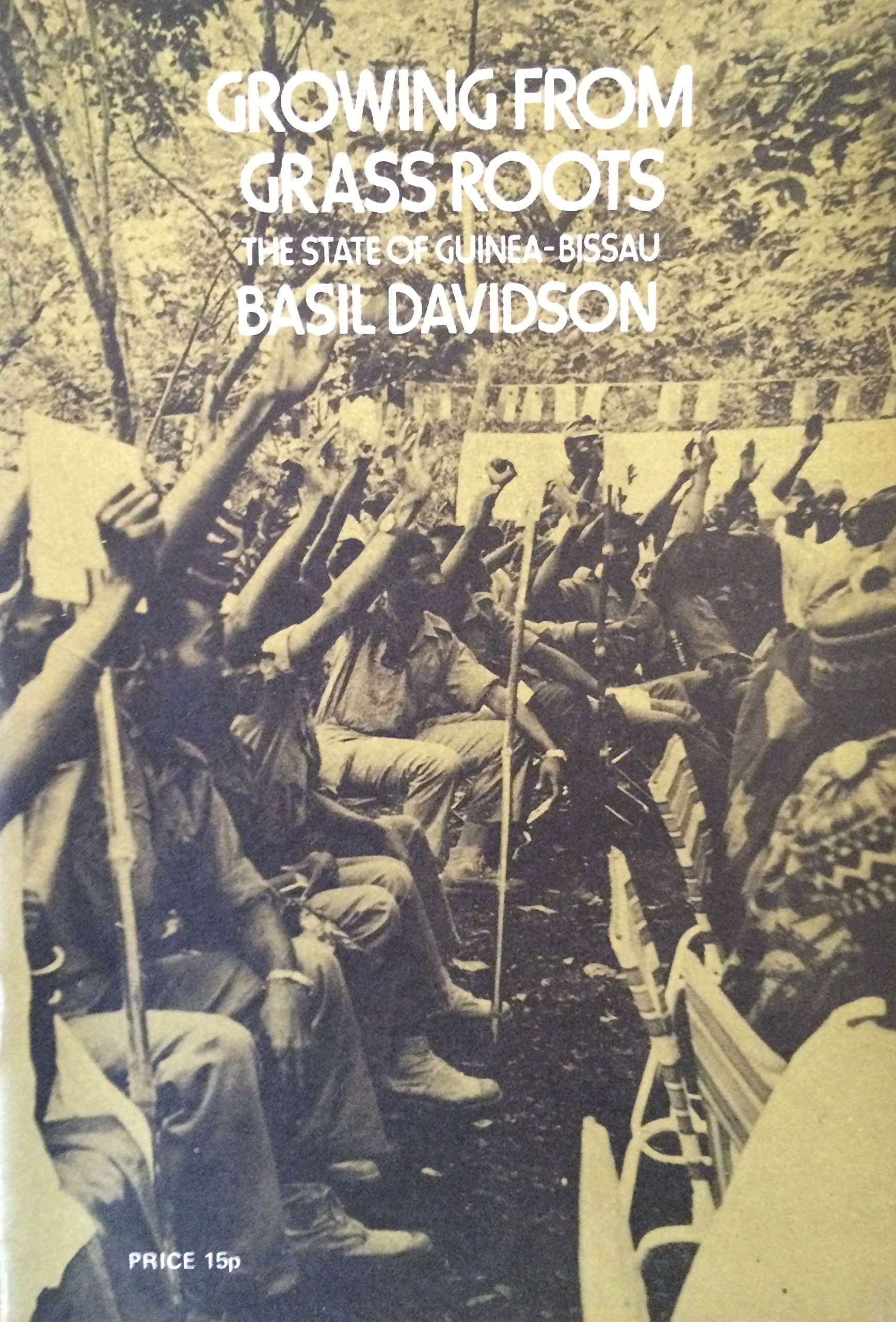 Growing from grass roots: The state of Guinea-Bissau (Paperback)