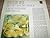 Percussion Music (Nonesuch ...