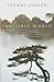 Invisible World by Stuart Cohen (1999-07-05)