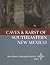 Caves and Karst of Southeastern New Mexico by Adam S. Read