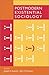 Postmodern Existential Sociology Paperback – July 23, 2002