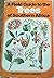 A field guide to the trees of Southern Africa