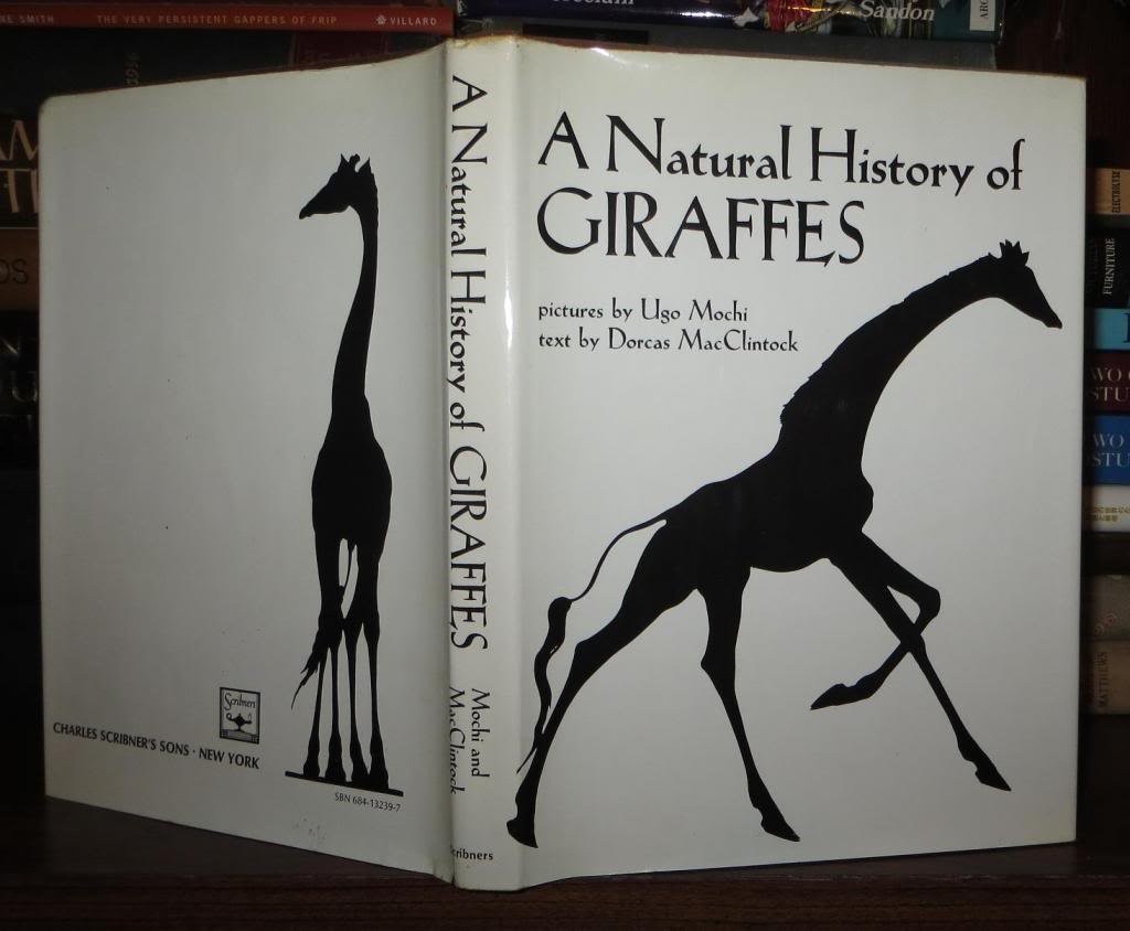 A Natural History of Giraffes (Hardcover)