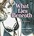 What Lies Beneath: From Corset to Wonderbra by Helen Murray (2005-10-02)