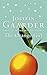 The Orange Girl by Jostein ...