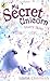 My Secret Unicorn: Starry Skies by Linda Chapman (4-Oct-2007) Paperback
