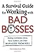 A Survival Guide for Working With Bad Bosses: Dealing With Bullies, Idiots, Back-stabbers, And Other Managers from Hell by Gini Scott(2005-11-25)