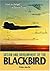 From Archangel to Senior Crown: Design and Development of the Blackbird (Library of Flight) by PeterWMerlin (15-Jul-2008) Paperback