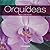 Orquideas/ Orchids by Maria...