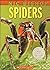 Spiders