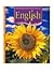 Houghton Mifflin English