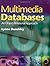 Multimedia Databases: An Object-Relational Approach by Dunckley, Lynne (2003) Paperback