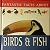 Fantastic Facts About Birds...