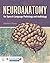 Neuroanatomy for Speech Language Pathology and Audiology by Matthew Rouse