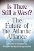 Is There Still a West?: The Future of the Atlantic Alliance 1st Edition by Hay, William Anthony published by University of Missouri Hardcover