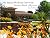 The Dakota Wesleyan Univers...