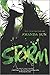 Storm (Paper Gods, #3)