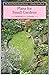 Plans for Small Gardens (Wisley Garden Handbook)