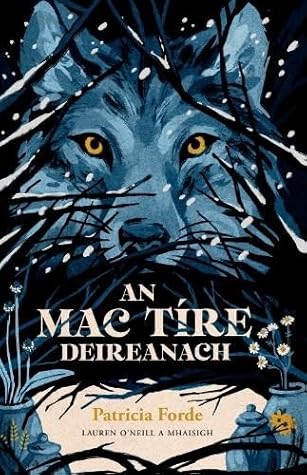 An Mac Tíre Deireanach