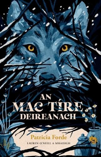 An Mac Tíre Deireanach (Paperback)