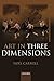 Art in Three Dimensions Reprint edition by Carroll, Noel (2012) Paperback