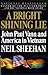 A BRIGHT SHINNING LIE by Neil Sheehan