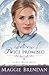 Twice Promised: A Novel (The Blue Willow Brides) (Volume 2) by Brendan, Maggie (2012) Paperback