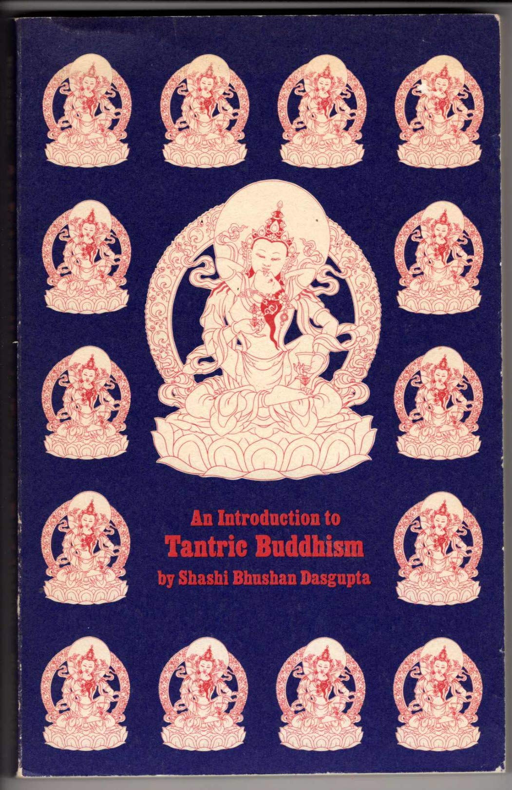 INT TO TANTRIC BUDDHISM (Paperback)