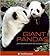 Giant Pandas by John Seidensticker (2007-04-10)