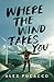 Where the wind takes you: Adventures of a wind turbine engineer