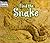 Find the Snake (Welcome Books: Hide and Seek) by Cate Foley (2006-06-01)