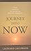Journey into Now: Clear Guidance on the Path of Spiritual Awakening by Leonard Jacobson (2007-01-18)