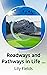 Roadways and Pathways in Li...