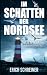 Im Schatten der Nordsee: Küstenkrimi (Hansen & Stahl ermitteln, Band 1) (Reihe Nordseeschatten)