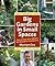 Big Gardens in Small Spaces Out of the box Advice for Boxed in Gardeners [HC,2010]