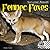 Fennec Foxes (Nocturnal Animals) [Library Binding] (Author) Kristin Petrie
