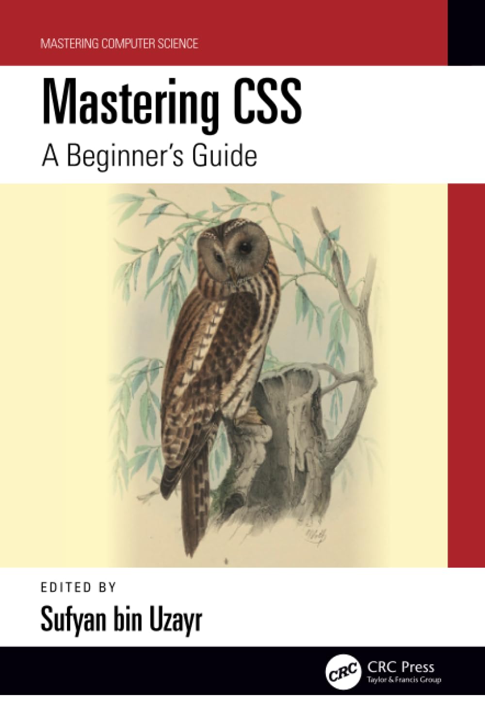 Mastering CSS (Mastering Computer Science)