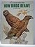 How Birds Behave by Neil Ardley (1971-09-01)