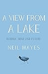 A View from a Lake: Buddha, Mind and Future by Neil Hayes (26-Feb-2015) Paperback