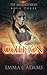 Collision: The Alliance Series: Book Three: Volume 3 by Emma L. Adams (2015-11-05)