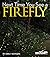 Next Time You See a Firefly - PB329X3 by Emily Morgan (2013) Paperback