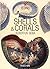 Shells and Corals (Icons) by Albertus Seba (26-Mar-2004) Paperback