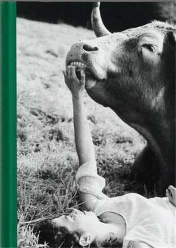 Companions (Hardcover)