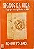Signos Da Vida by Robert Pollack